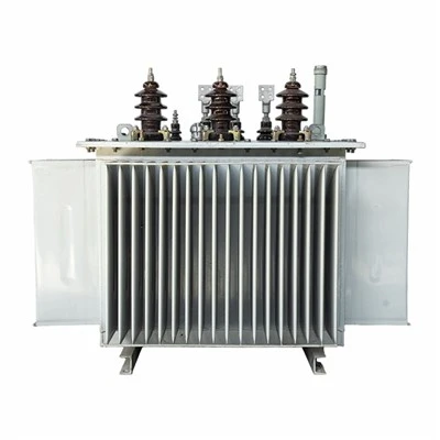 Máy biến áp loại ngâm dầu